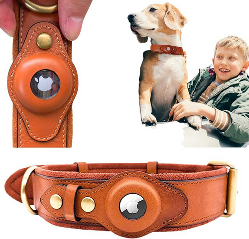 Leather AirTag Dog Collar – main product image | Buzzora