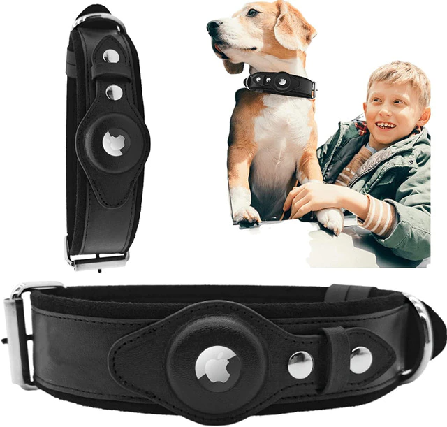 Leather AirTag Dog Collar – product detail view | Buzzora