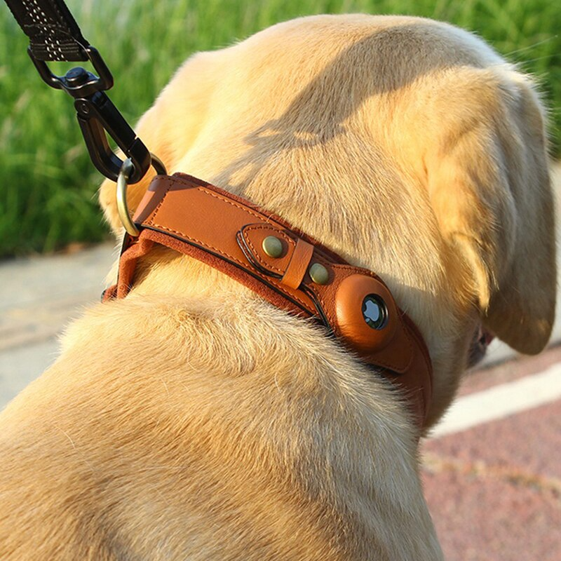 Leather AirTag Dog Collar – features and benefits | Buzzora