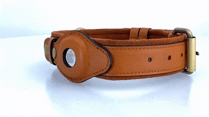 Leather AirTag Dog Collar – lifestyle use photo | Buzzora